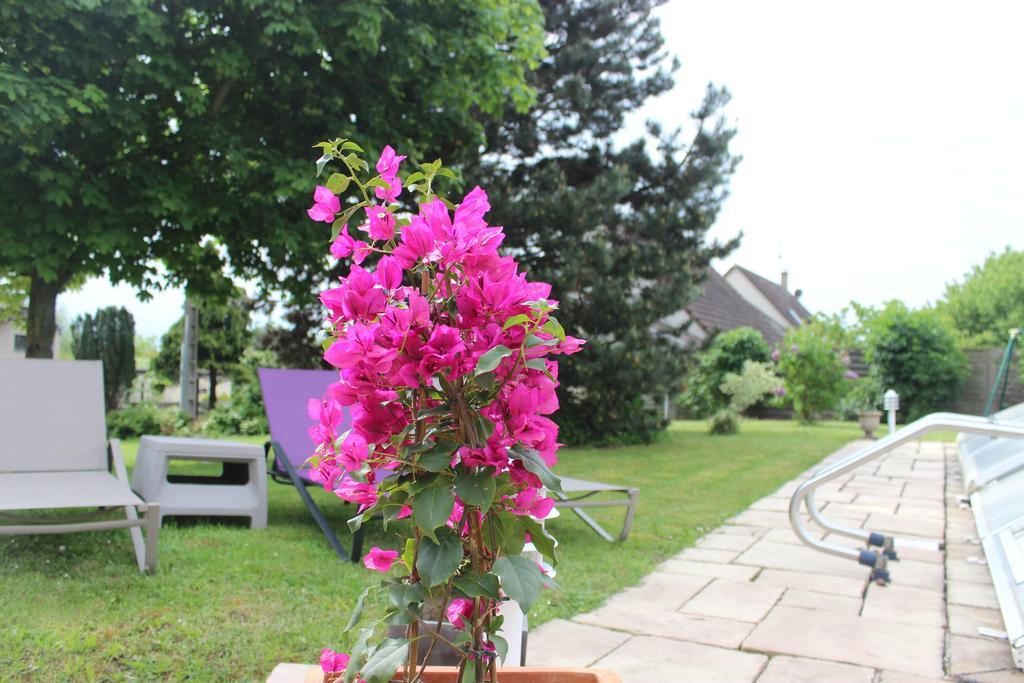 Gite De La Route Du Vin Ribeauvillé Buitenkant foto